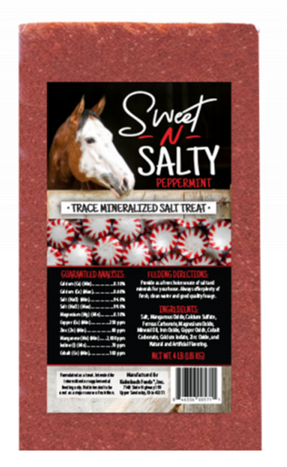 Sweet N Salty Peppermint Block