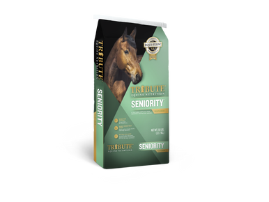 Seniority Textured