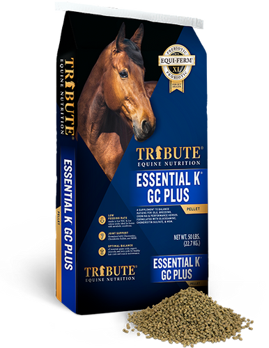 Essential K® GC Plus