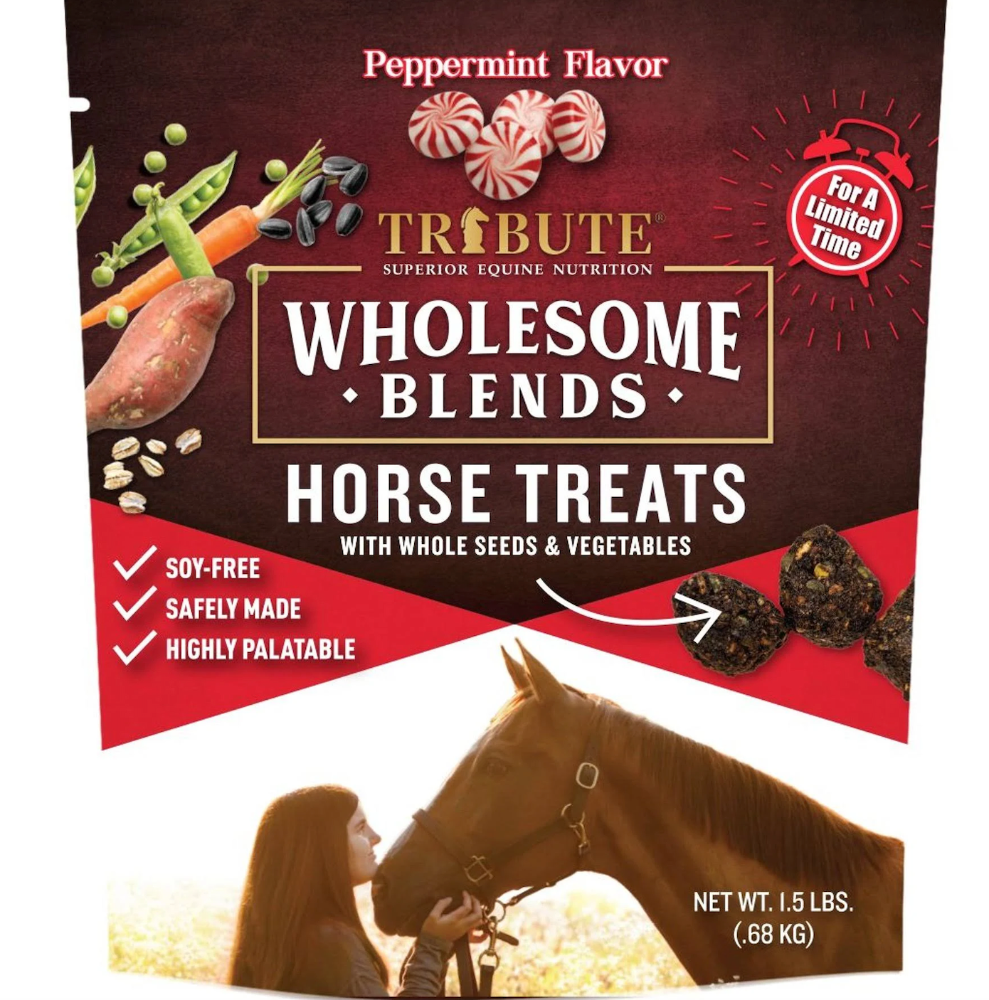 Wholesome Blend Peppermint Treats