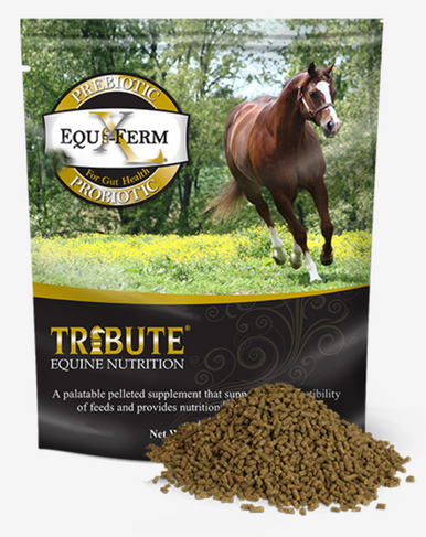 Equi-ferm XL