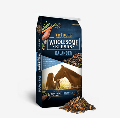 Wholesome Blends Balancer