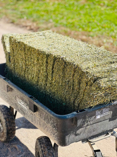 Compressed Orchard/Alfalfa Hay