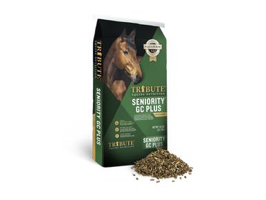 Seniority GC Plus