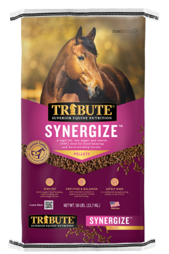 SALE PRICE Tribute Synergize