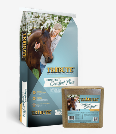 Constant Comfort Pellets