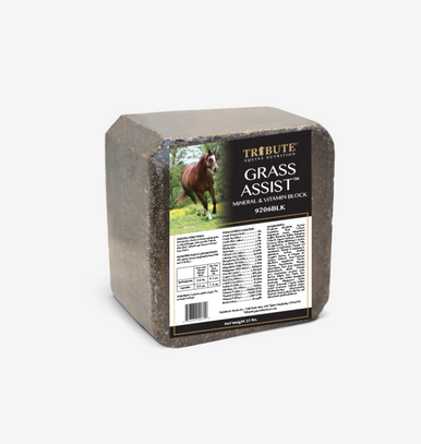 Grass Assist Block