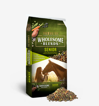 Wholesome Blends-Senior