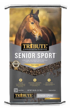 Senior Sport