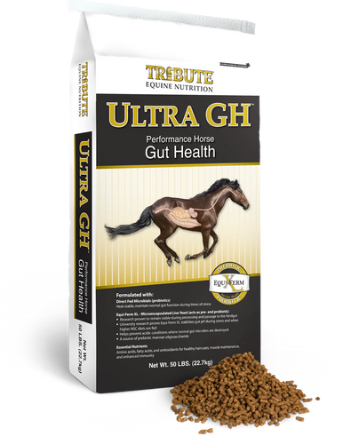 Equine Ultra GH®