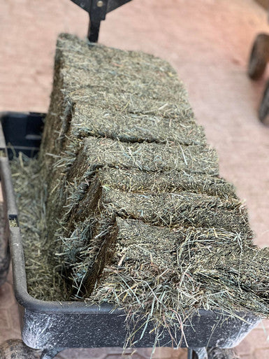 Compressed Pure Alfalfa Hay