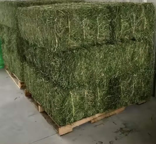 Compressed Timothy Hay