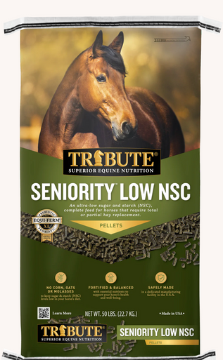 Seniority Low NSC