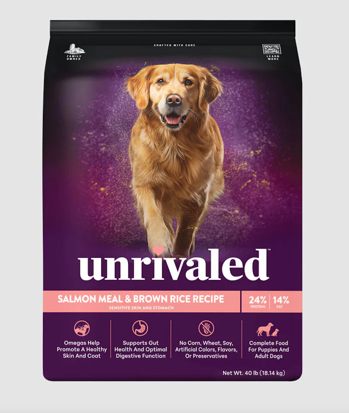 Unrivaled Salmon Meal & Brown Rice Recipe Dog Food