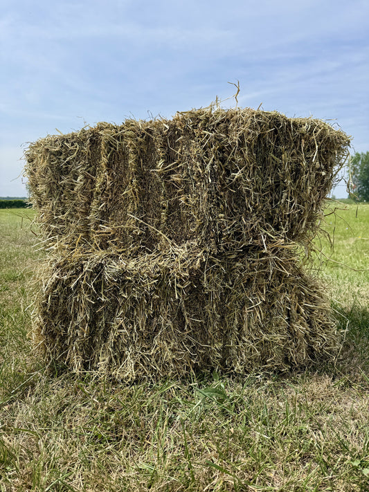 Non-Compressed Alfalfa Hay Bale