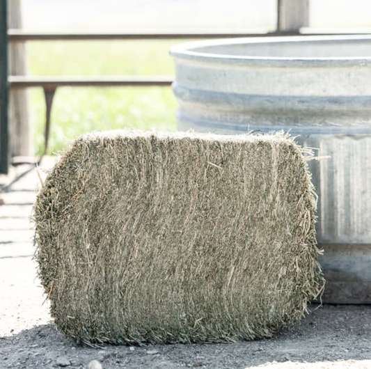 Compressed Timothy Hay